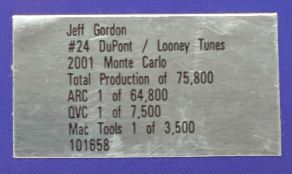 Jeff Gordon #24 DuPont Looney Tunes 2001 Richmond Monte Carlo 400 1:24 NASCAR - original photograph 8