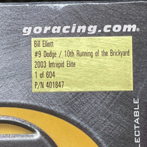 Bill Elliott #9 Dodge 10th Running of the Brickyard 2003 Intrepid ELITE 1 of 604 - original photograph 10